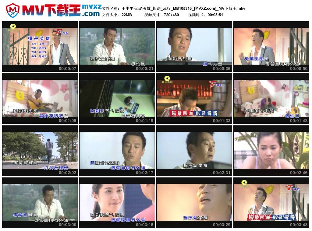 王中平-还是英雄_国语_流行_MB105316